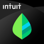 mint, app building companies